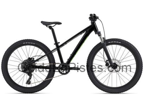 Giant STP 24 FS fiche technique et avis